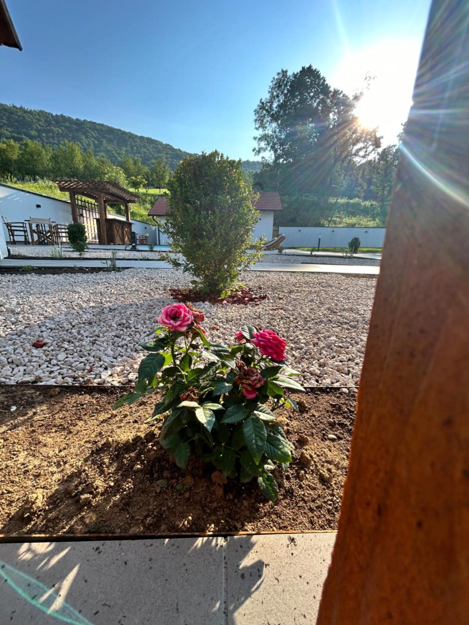 Romantic Lodge Баня-Лука Екстер'єр фото